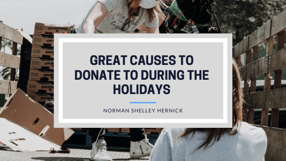 Great Causes To Donate To During The Holidays Norman Shelley Hernick